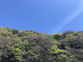 変換 ～ 20200508.jpg