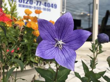 変換 ～ 20200620.jpg