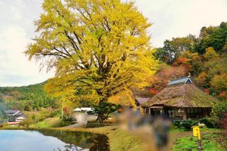 変換 ～ 20211107burogu 紅葉4.jpg