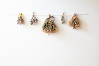 変換 ～ 20220318　ドライフラワー　画像　インテリア000002.jpg