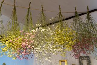 変換 ～ 20220318　ドライフラワー　画像　インテリア000001.jpg