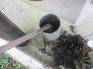 変換 ～ 20210722amamoriburogu04.jpg