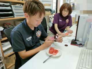 変換 ～ 20210806suikaburogu4.jpg