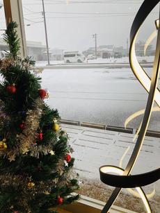 松江ツリー雪.jpg