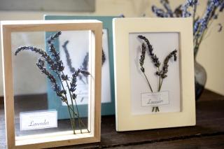 変換 ～ 20220318　ドライフラワー　画像　インテリア000000.jpg