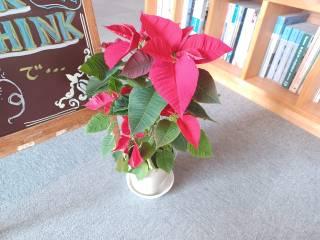 変換 ～ 20221115ブログ写真ウェルカムボードとポインセチア000003.jpg