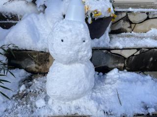 変換 ～ 20230125大雪の日　雪かき　000002.jpg