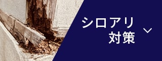 シロアリ対策