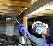 シロアリ駆除の様子