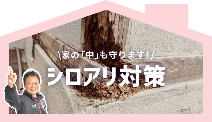 家の「中」も守ります！シロアリ対策