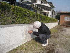 塗装　フォーシンク 外壁　