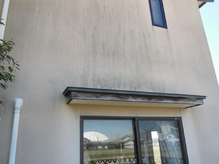 変換 ~ 変換 ~ DSCN9109.jpg