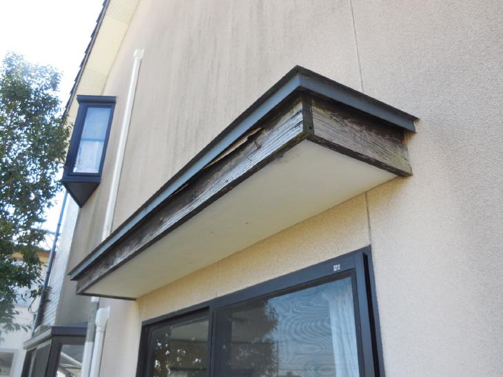 変換 ~ 変換 ~ DSCN9111.jpg