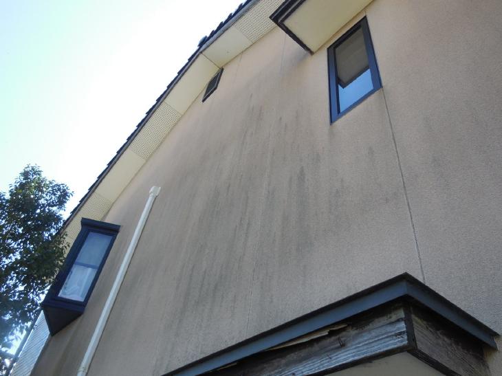 変換 ~ 変換 ~ DSCN9112.jpg