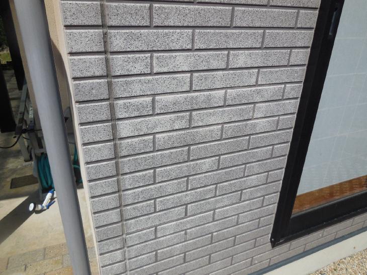 変換 ~ 変換 ~ DSCN9133.jpg