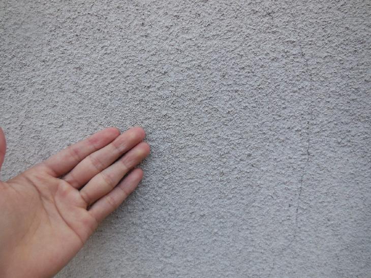 変換 ~ 変換 ~ DSCN9450.jpg