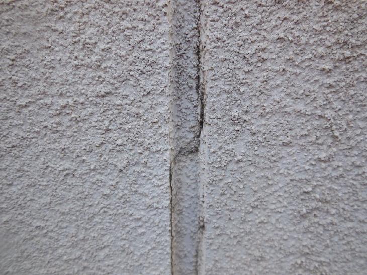 変換 ~ 変換 ~ DSCN9451.jpg