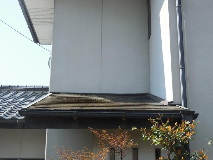 変換 ~ 変換 ~ DSCN9456.jpg