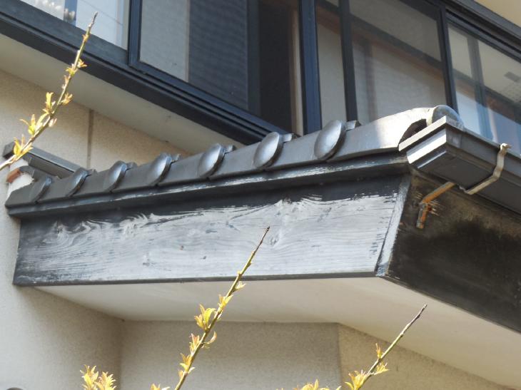 変換 ~ 変換 ~ DSCN9463.jpg