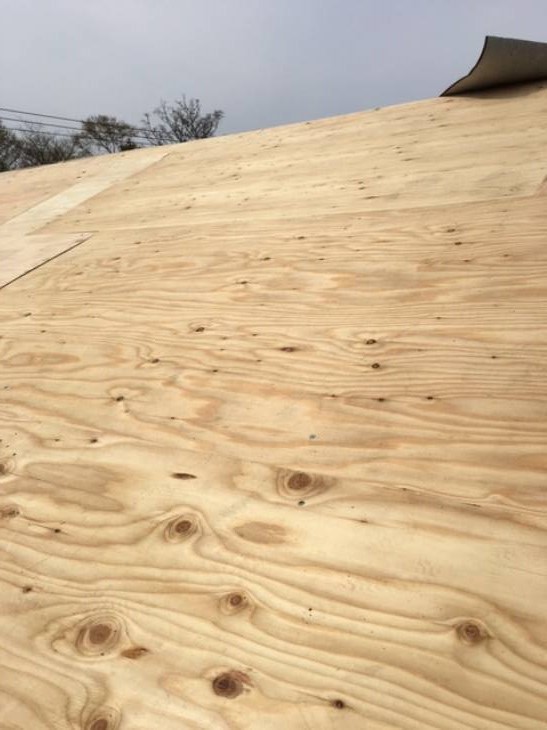 変換 ~ 変換 ~ IMG_3419.jpg