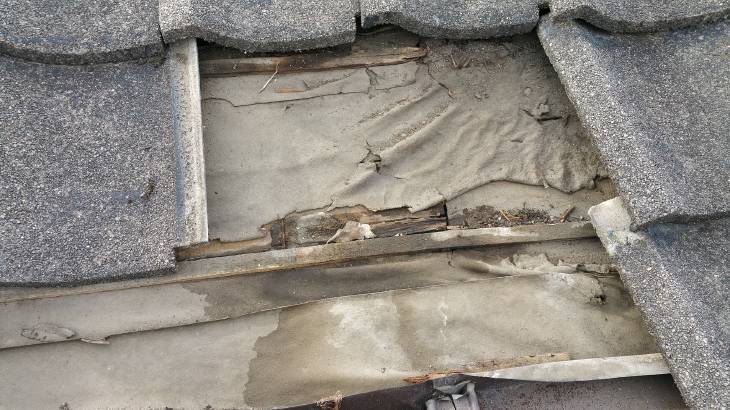 変換 ~ 2016-03-16 08.53.24.jpg