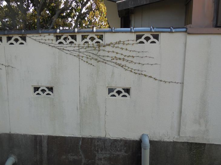 変換 ～ 2016-04-05 14.07.09.jpg