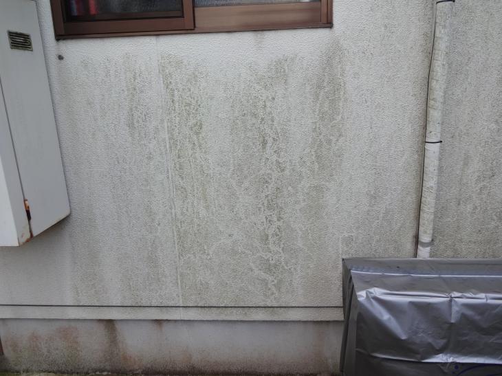 変換 ~ DSC03202.jpg