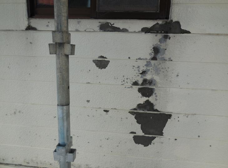 変換 ～ DSCN1443.jpg