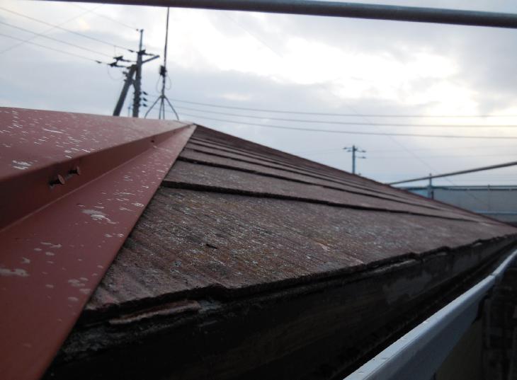 変換 ～ DSCN1639.jpg