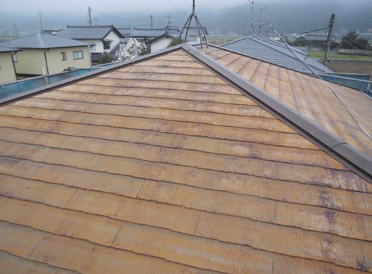 変換 ～ DSCN2867.jpg