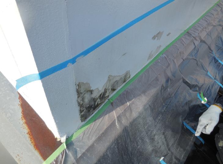 変換 ~ DSCN3564.jpg