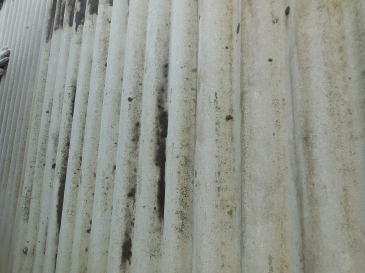 変換 ～ DSCN4809.jpg