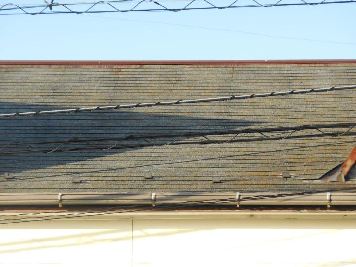 変換 ～ DSCN5064.jpg