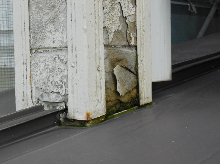 変換 ～ DSCN5462.jpg