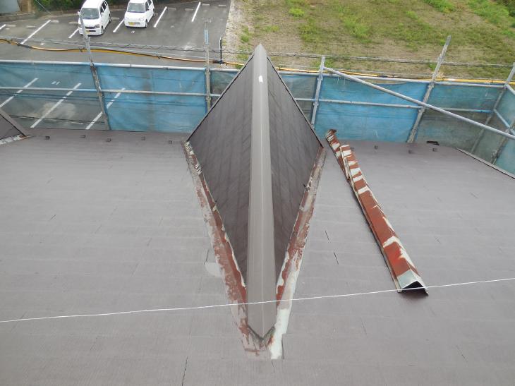 変換 ～ DSCN5805.jpg