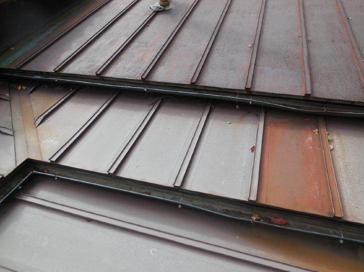 変換 ～ DSCN6554.jpg