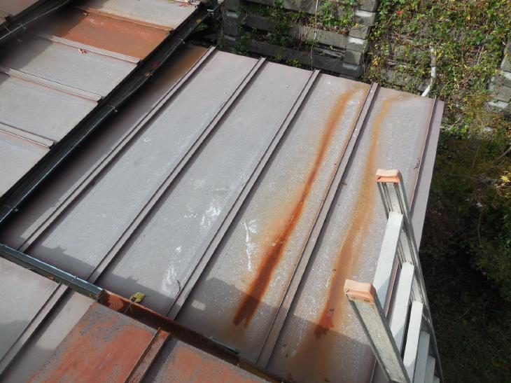 変換 ～ DSCN6561.jpg