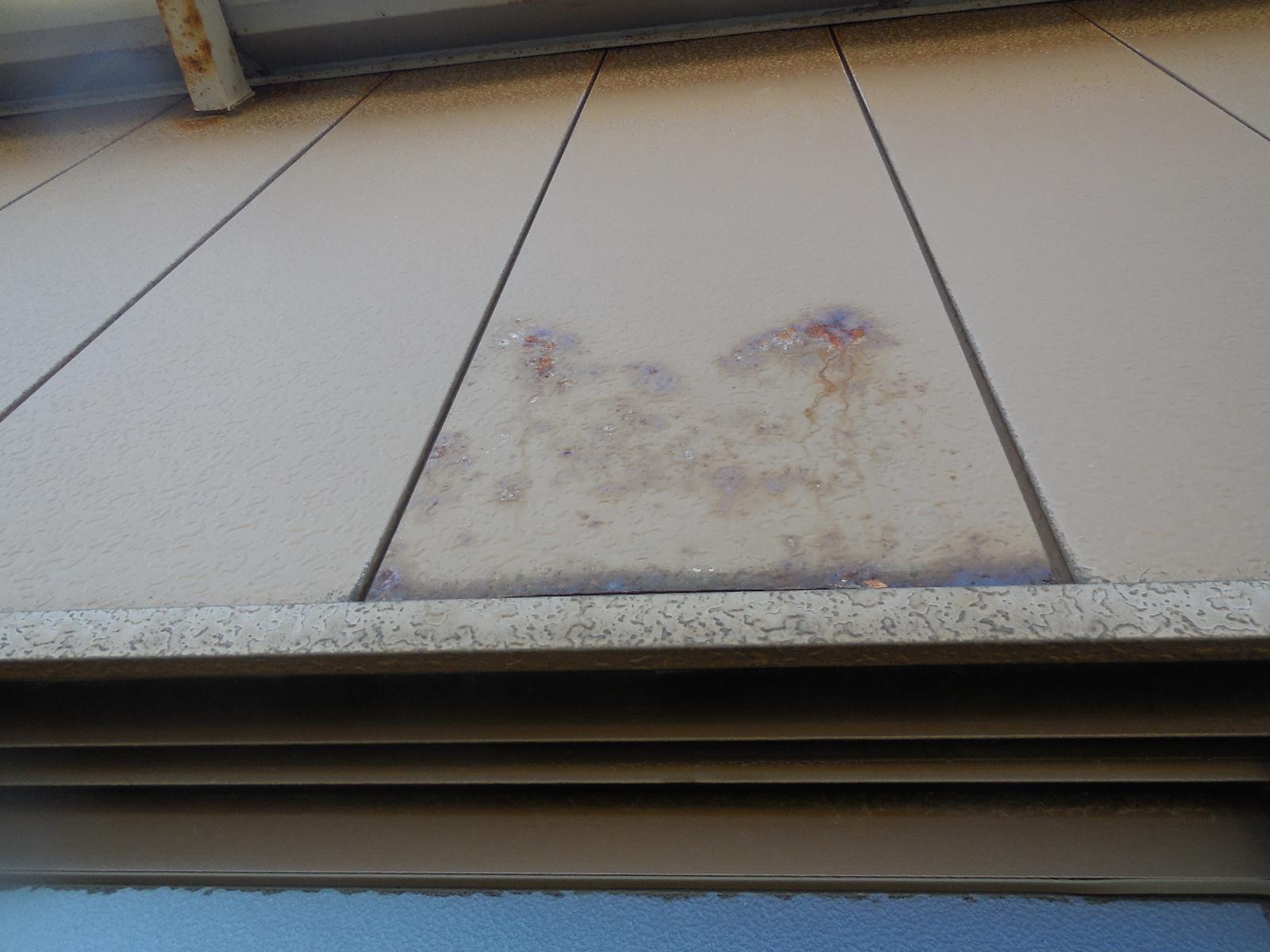 変換 ～ DSCN8722.jpg