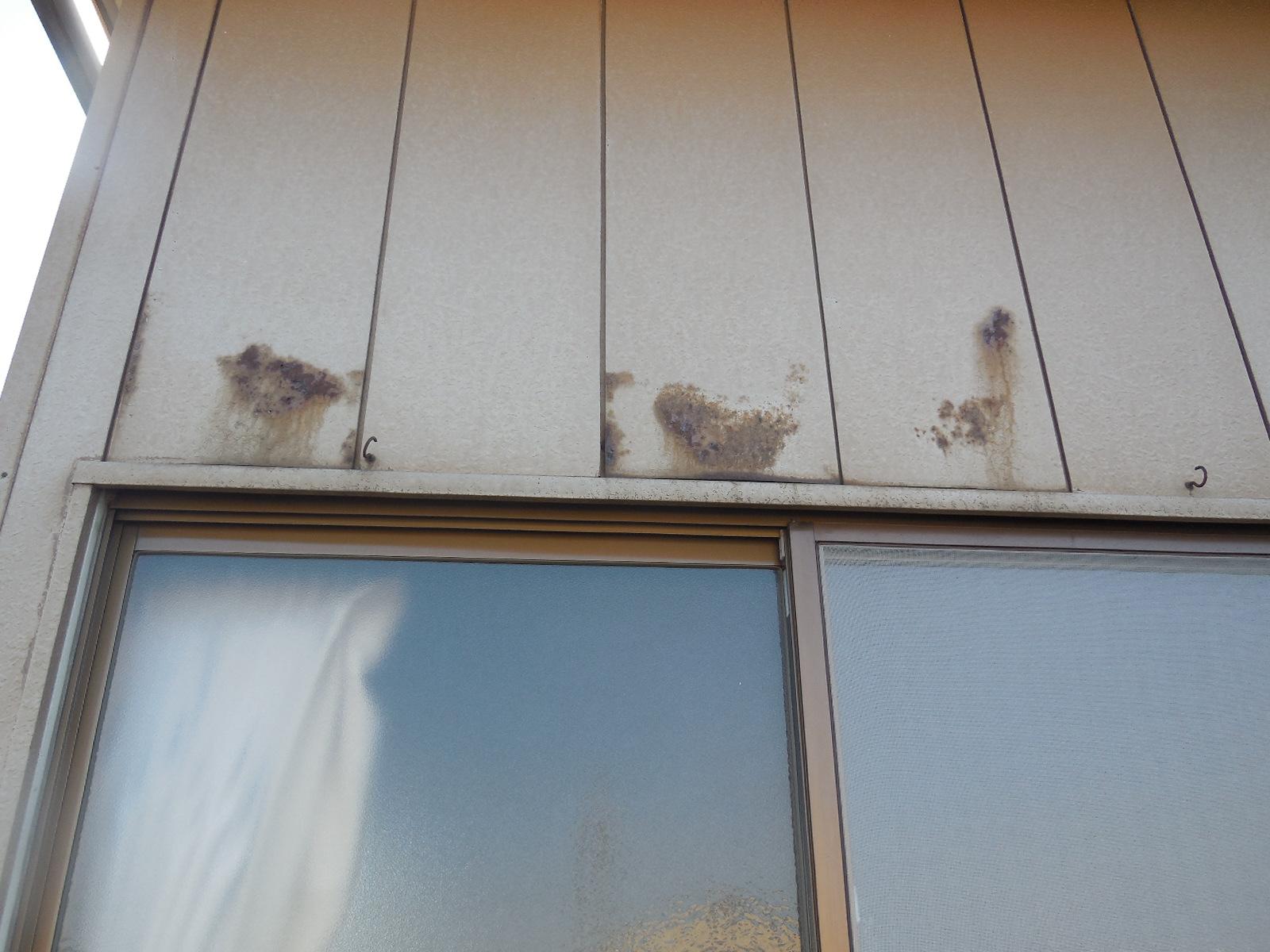 変換 ～ DSCN8732.jpg