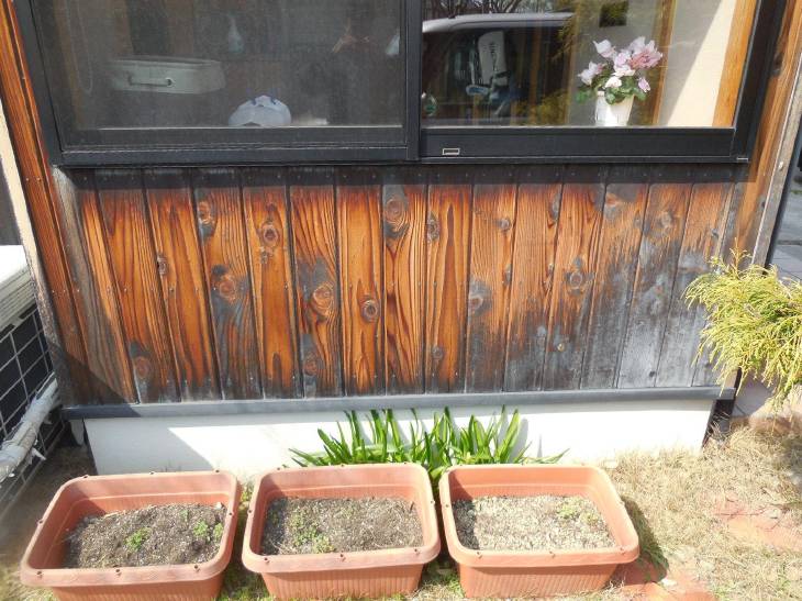 変換 ~ DSCN9165.jpg