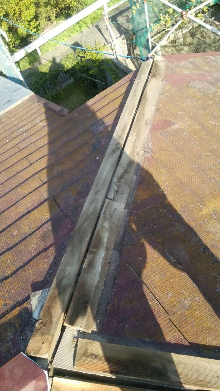 変換 ~ DSC_0560.jpg