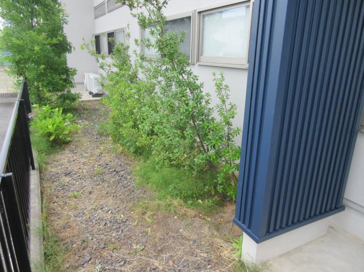 変換 ～ IMG_0442.jpg