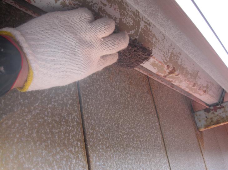 変換 ～ IMG_1212.jpg