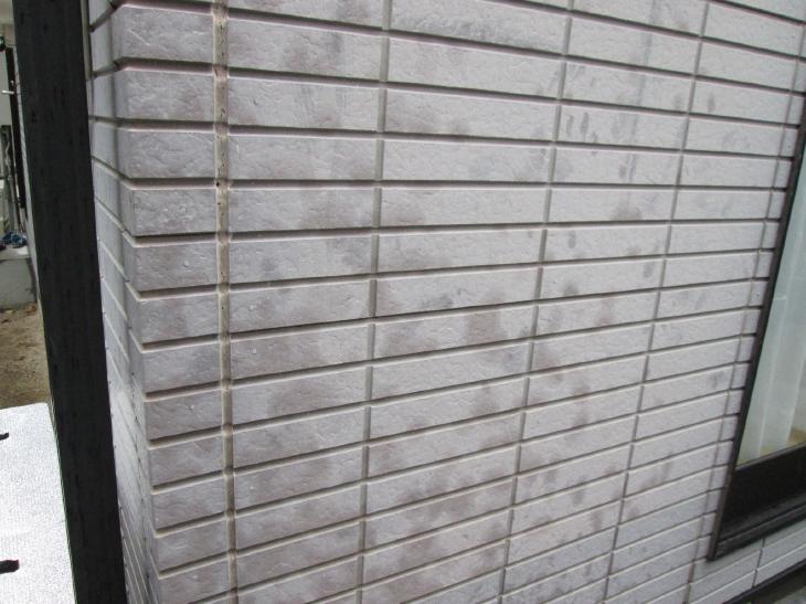 変換 ~ IMG_4694.jpg