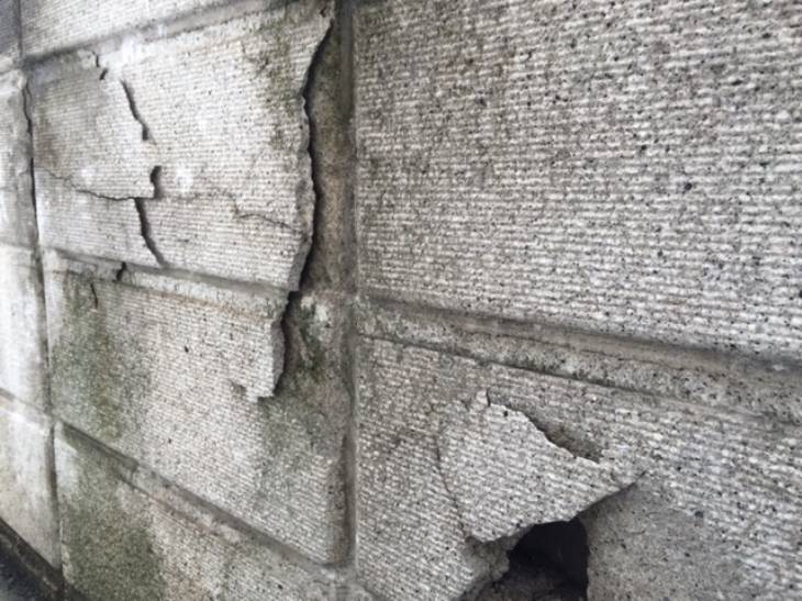 変換 ~ IMG_5226.jpg