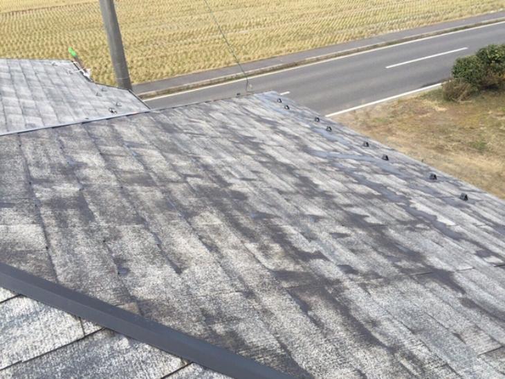 変換 ～ IMG_6316.jpg