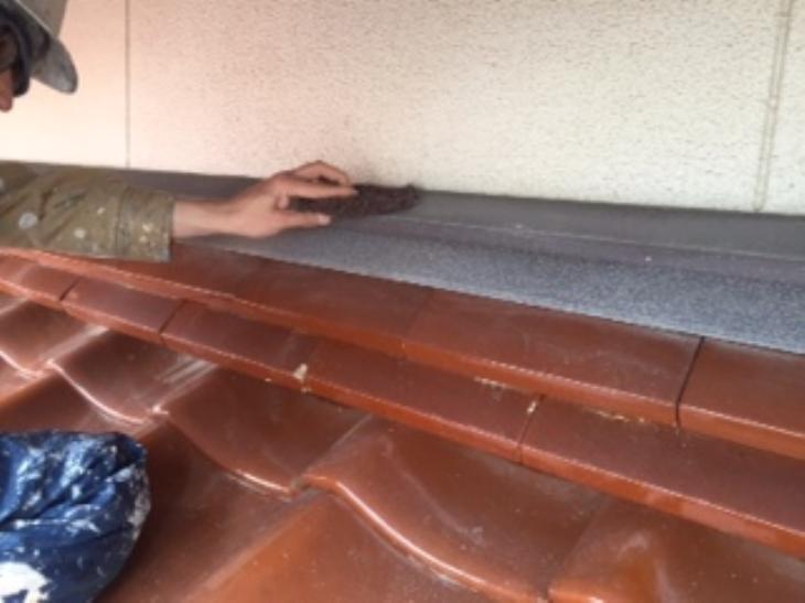 変換 ~ IMG_6707.jpg