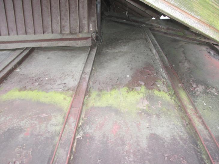 変換 ~ IMG_8013.jpg