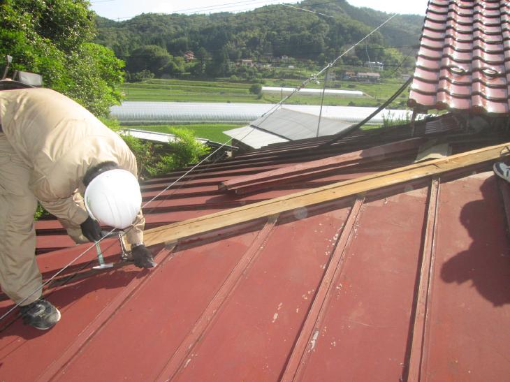 変換 ~ IMG_9050.jpg