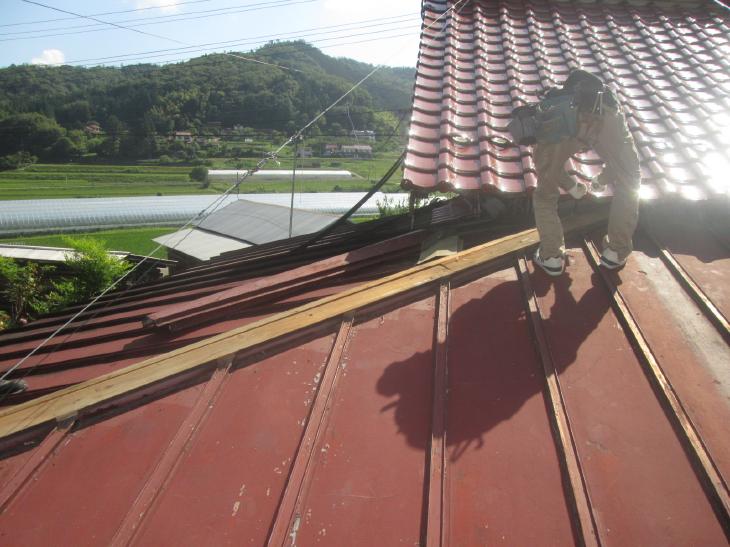 変換 ~ IMG_9051.jpg